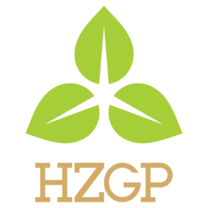 HZ Green Pulp Sdn Bhd